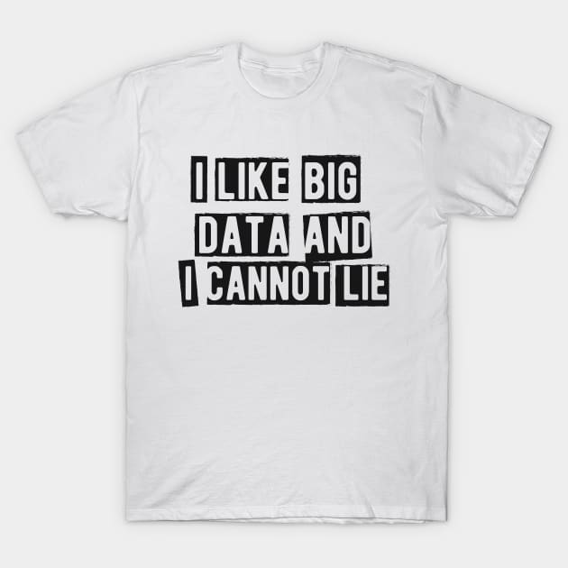 Data analyst - I like big data and cannot lie T-Shirt by KC Happy Shop